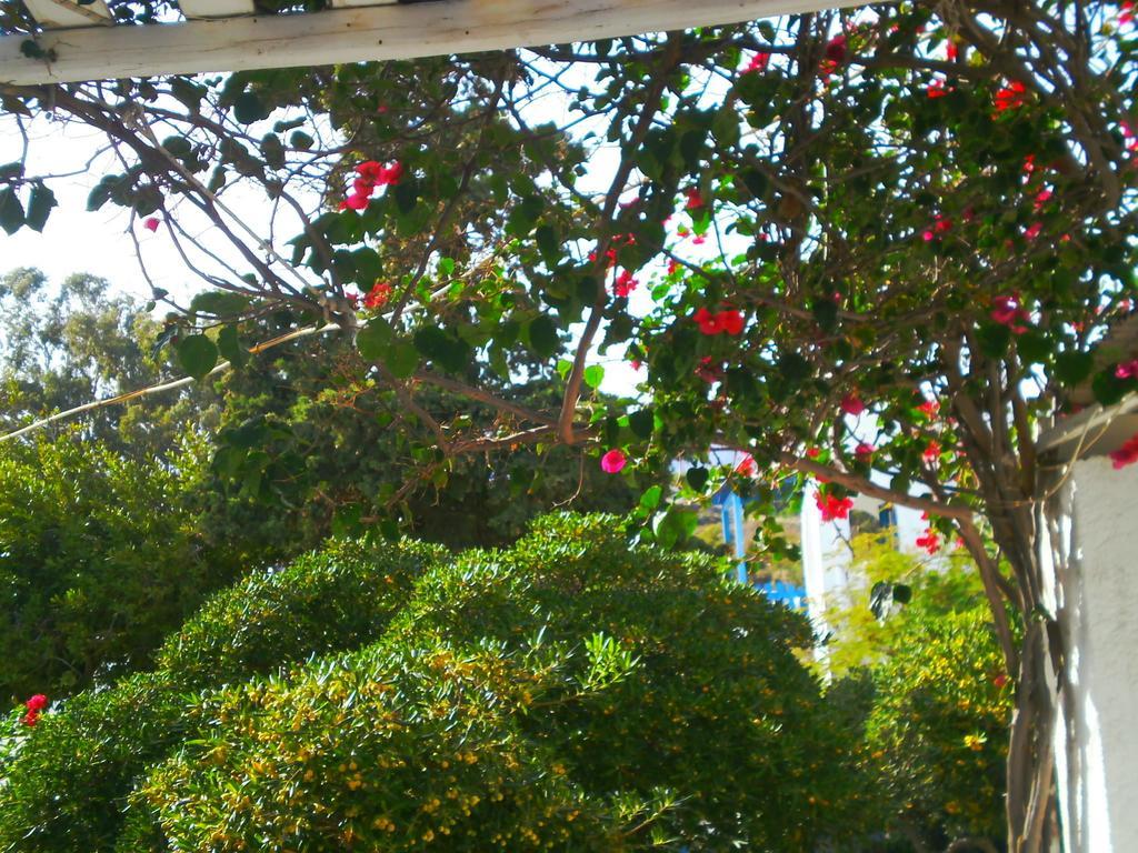 Paros Rita Studios Piso Livadi Bagian luar foto