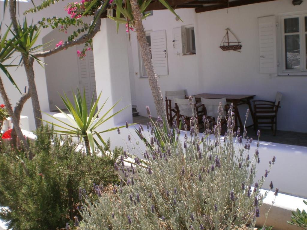 Paros Rita Studios Piso Livadi Bagian luar foto